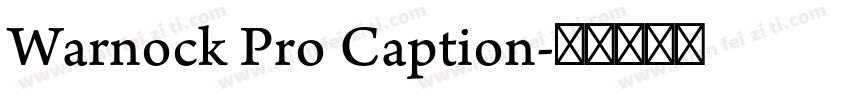 Warnock Pro Caption字体转换